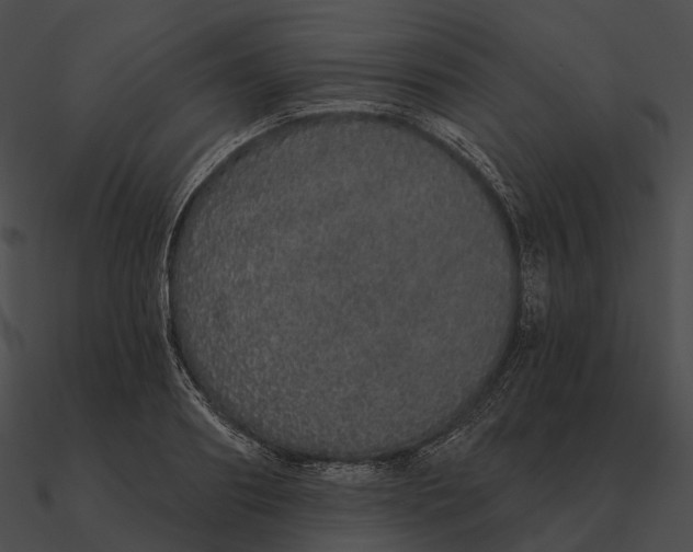 X0000090500890200708031207