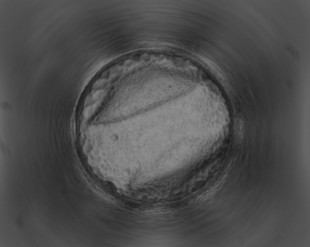 X0000090500891200708031207