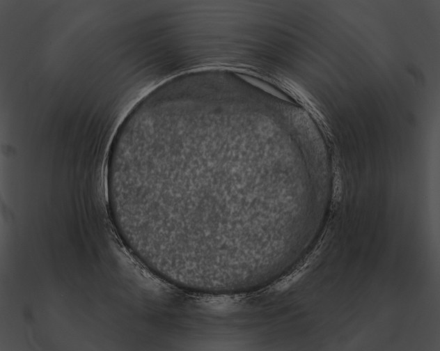 X0000090500892200708031207