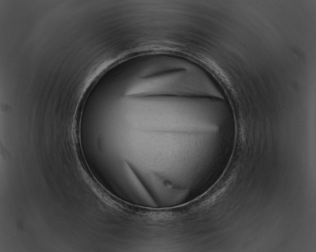 X0000090500893200708031207