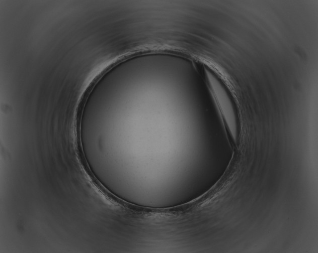 X0000090500894200708031207