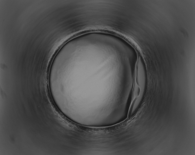 X0000090500895200708031207