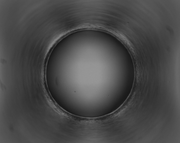 X0000090500896200708031207