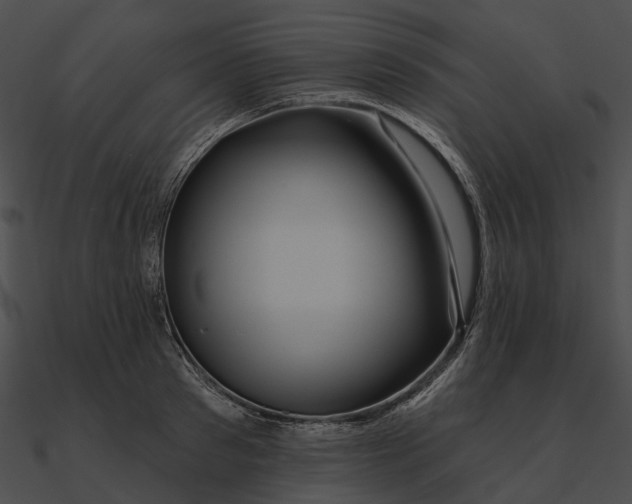 X0000090500897200708031207