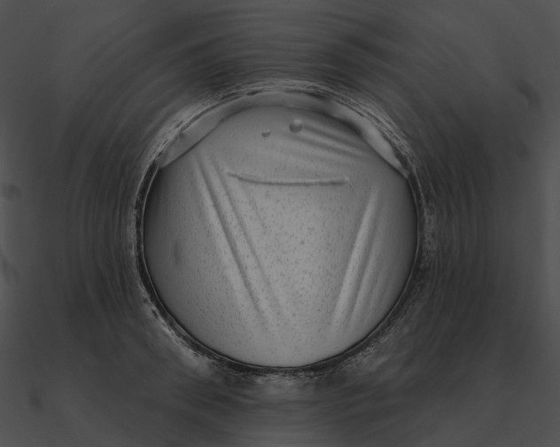 X0000090500898200708031207