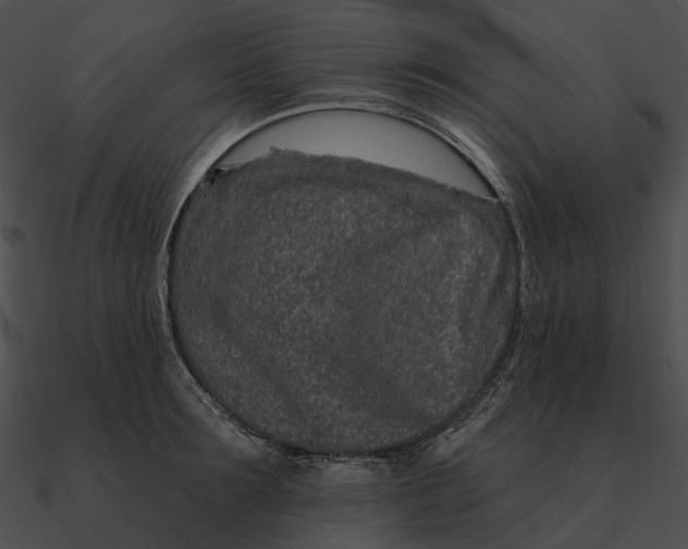 X0000090500899200708031207