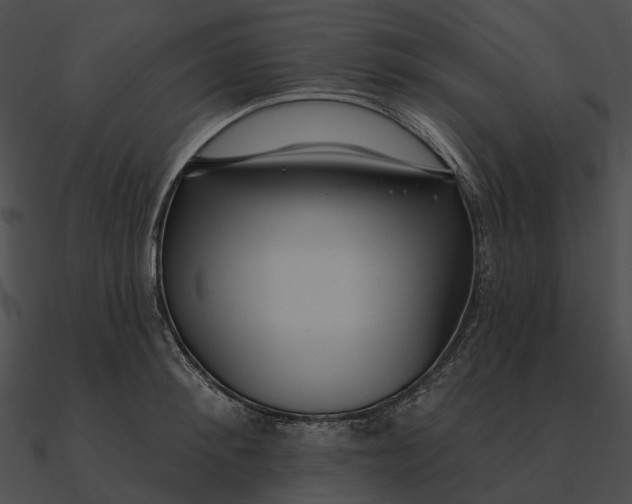 X0000090500900200708031207