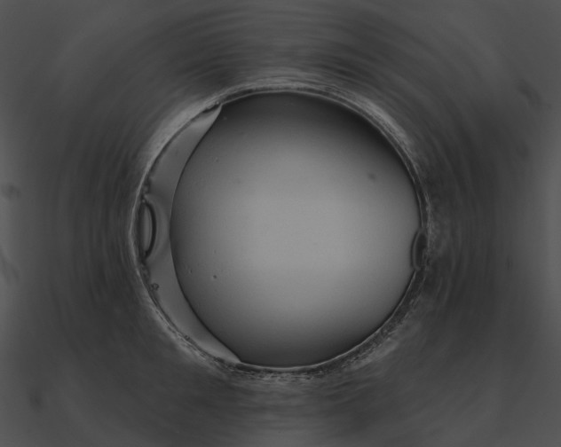 X0000090500901200708031207