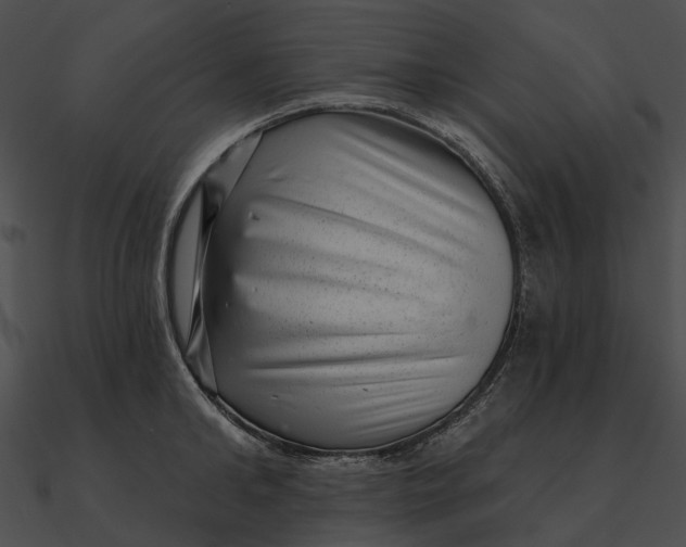 X0000090500902200708031207