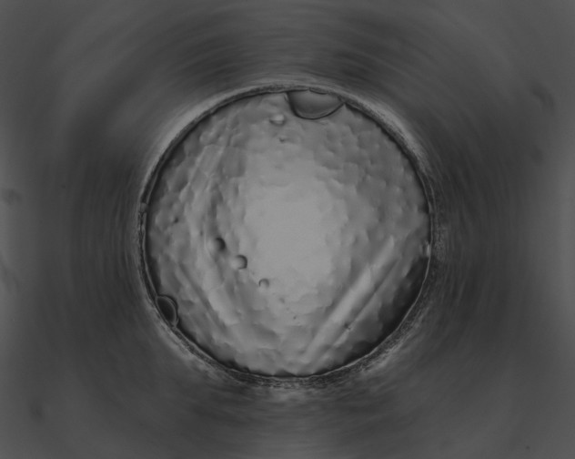 X0000090500903200708031207