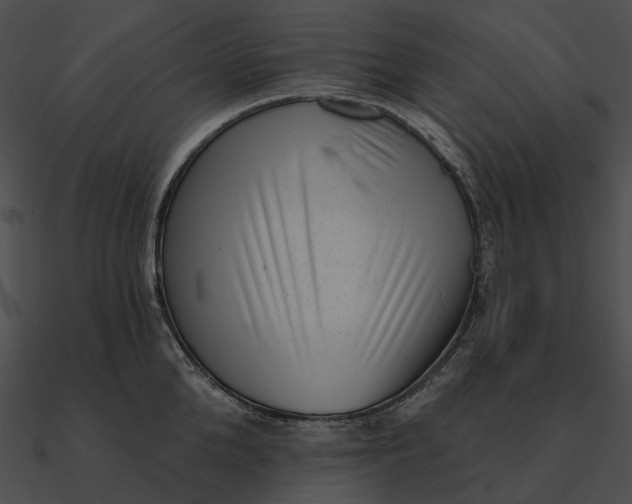 X0000090500904200708031207