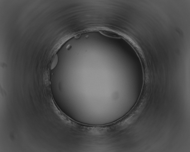 X0000090500905200708031207