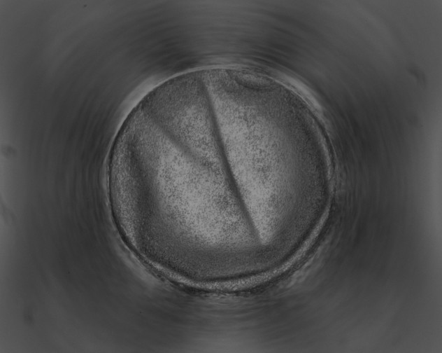 X0000090500907200708031207