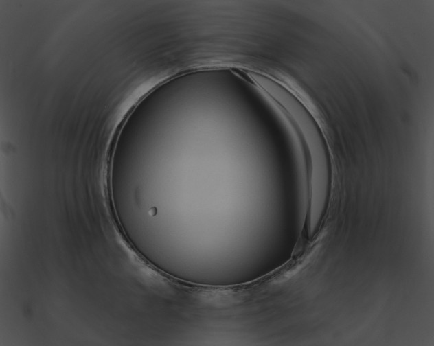 X0000090500909200708031206