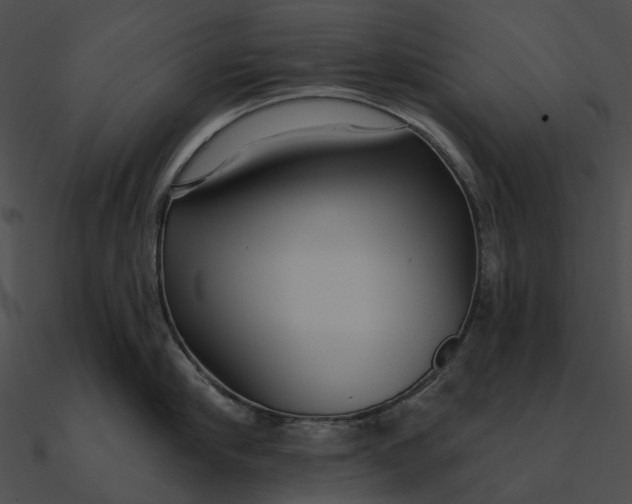 X0000090500910200708031206