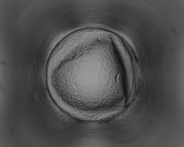 X0000090500911200708031206