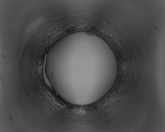 X0000090500914200708031206