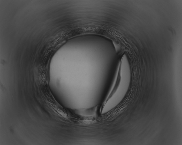 X0000090500916200708031206