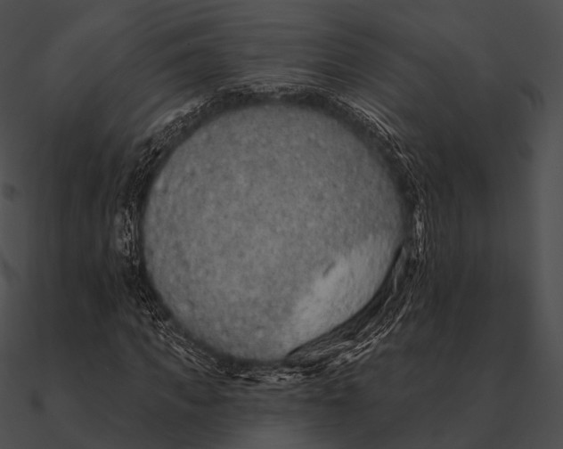 X0000090500917200708031206