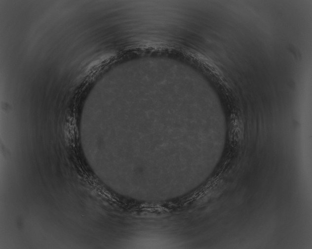 X0000090500918200708031206