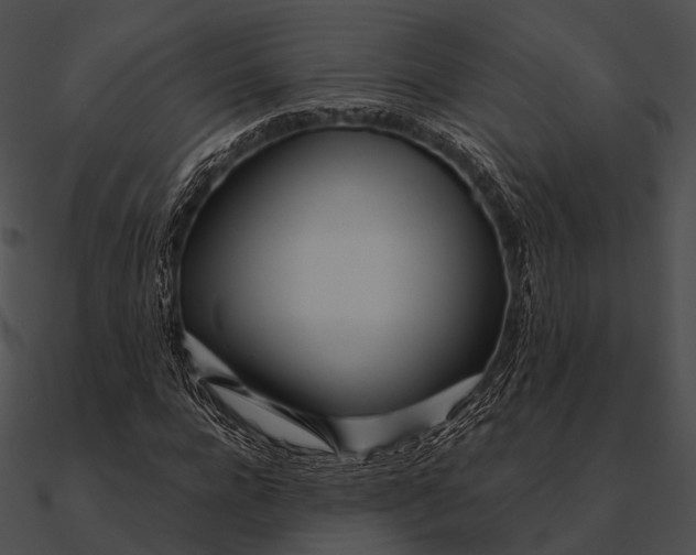 X0000090500920200708031206