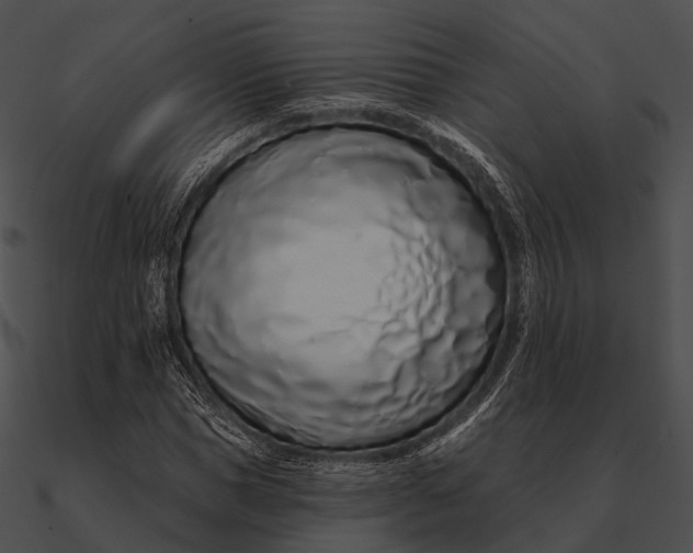 X0000090500921200708031206