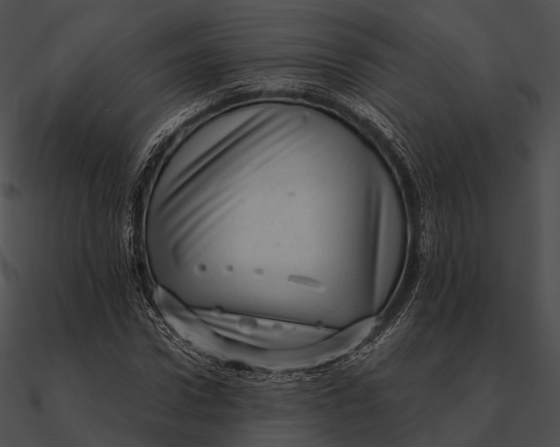 X0000090500922200708031206