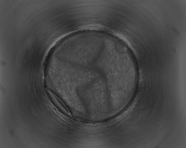 X0000090500923200708031206