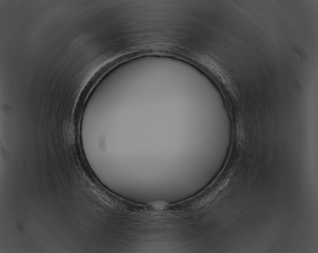 X0000090500924200708031206