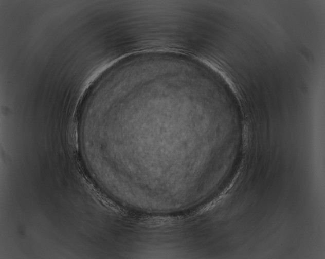 X0000090500925200708031206