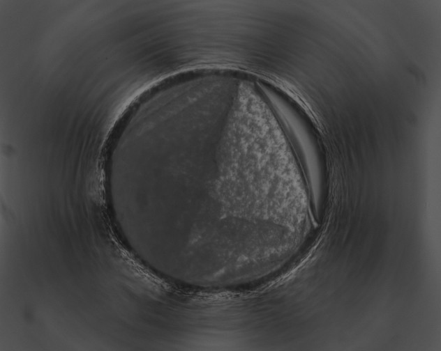 X0000090500926200708031206