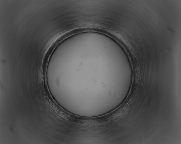 X0000090500927200708031206