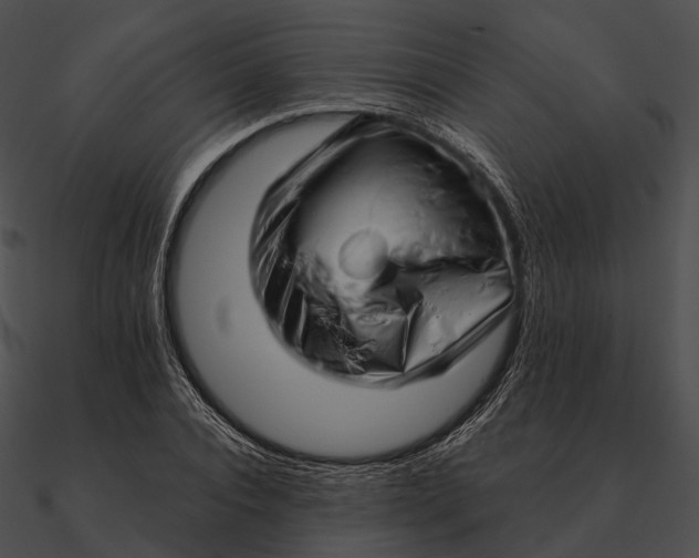 X0000090500928200708031206