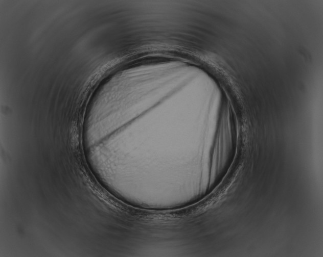 X0000090500929200708031206