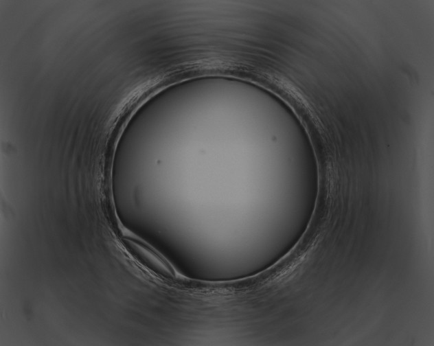 X0000090500930200708031206