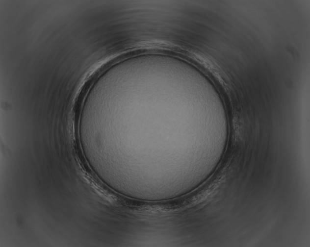 X0000090500931200708031206