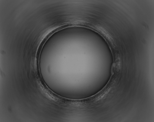 X0000090500932200708031206