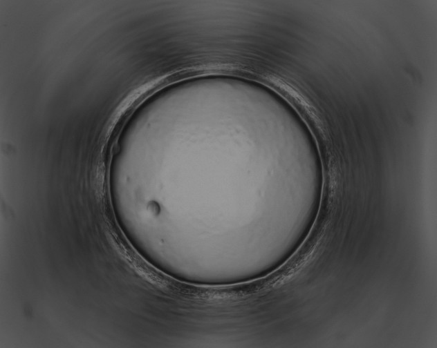 X0000090500933200708031206