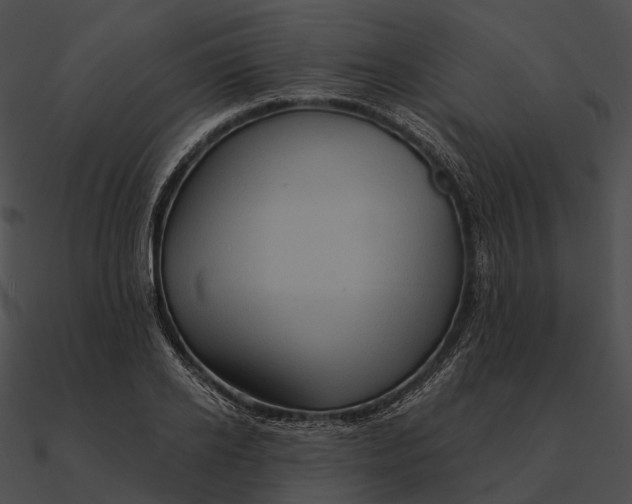 X0000090500934200708031206