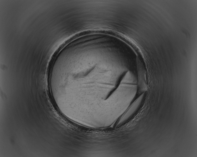 X0000090500935200708031206