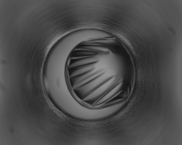 X0000090500936200708031206