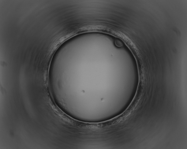 X0000090500937200708031206