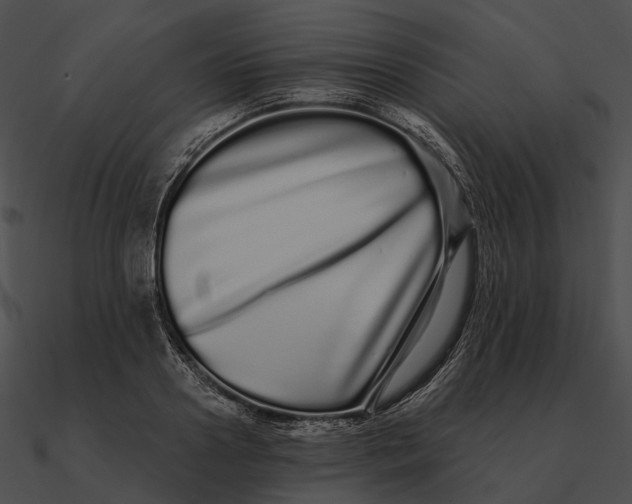 X0000090500938200708031206