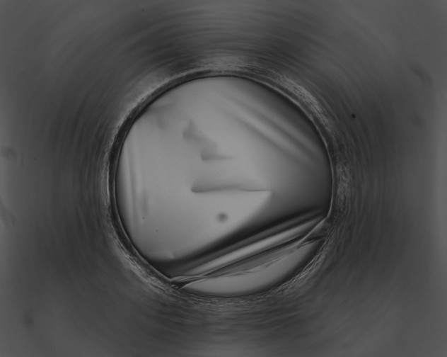 X0000090500939200708031206