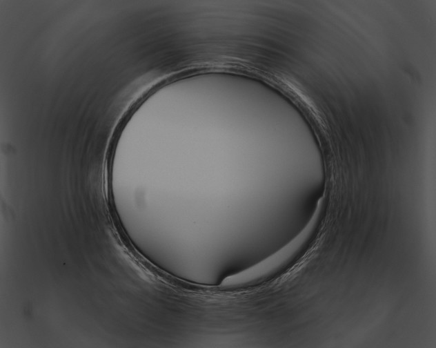 X0000090500940200708031206