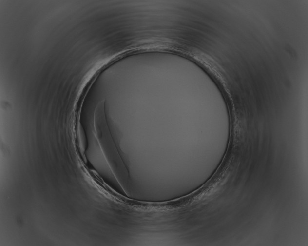 X0000090500941200708031206