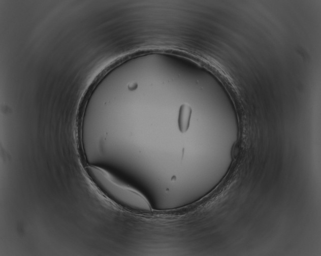 X0000090500942200708031206