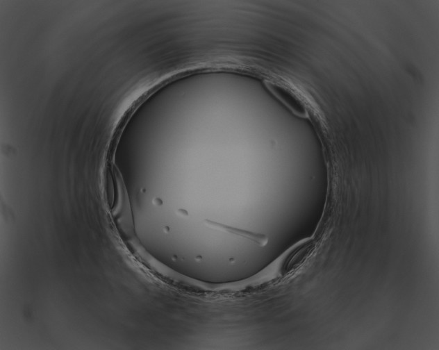 X0000090500944200708031206