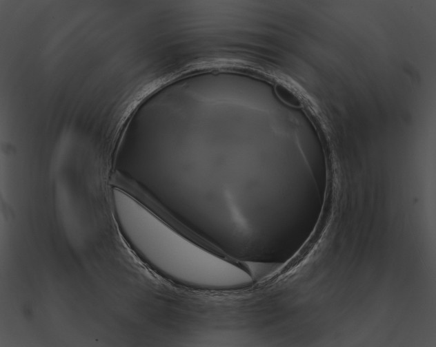 X0000090500945200708031206