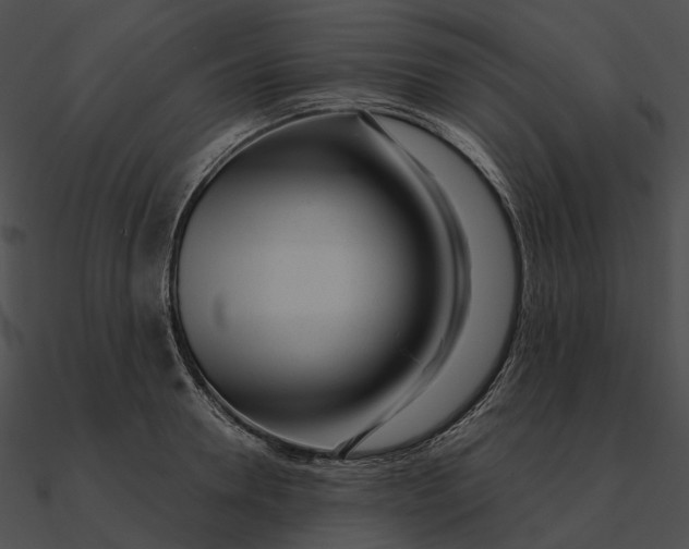 X0000090500946200708031206